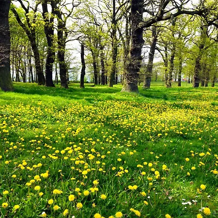 Casa vacanze Bernsteinhof